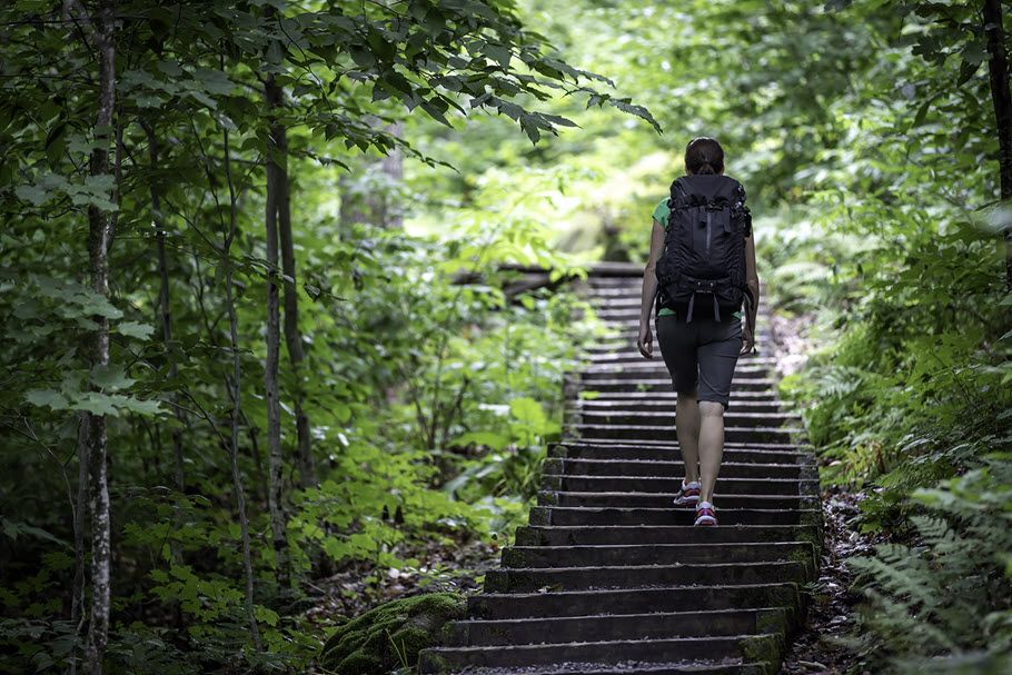 View from behind of someone climbing stone stairs wearing a backpack through a dense green forest towards sunlit area.