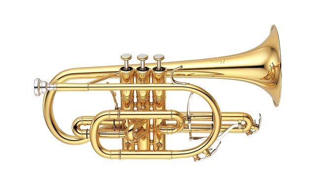 Modern cornet seen in profile.