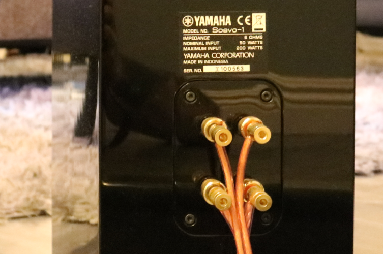 Closeup of back of speaker with wires attached.