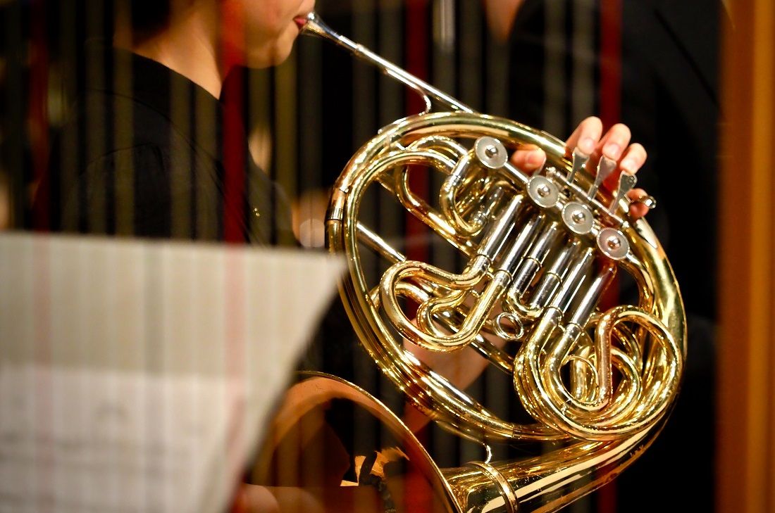 musician playing French horn