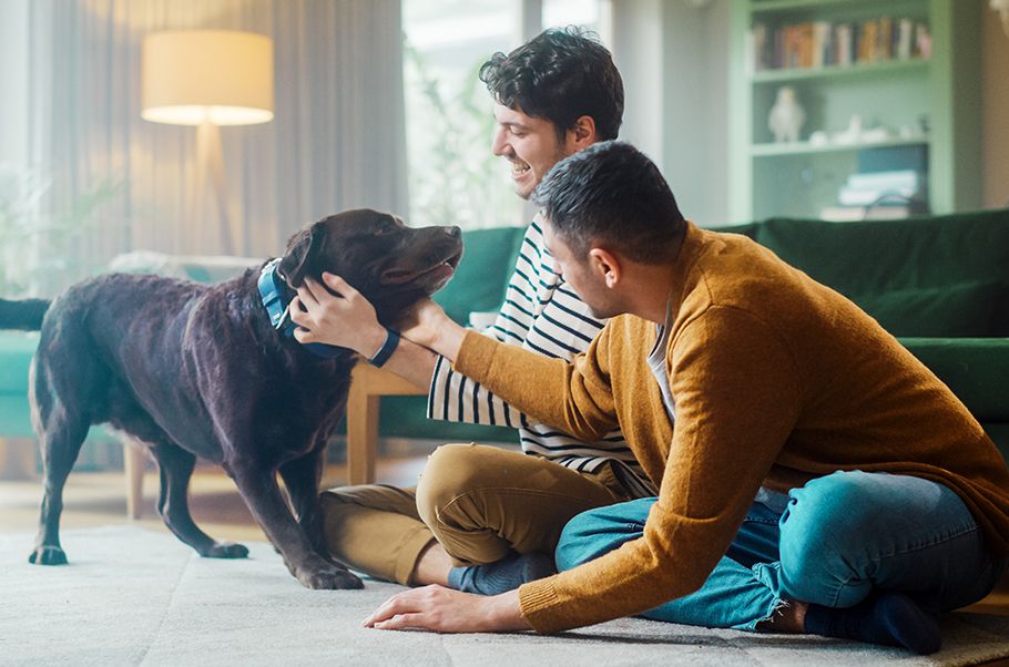 A couple of men sitting on their living room floor playing with their dog.