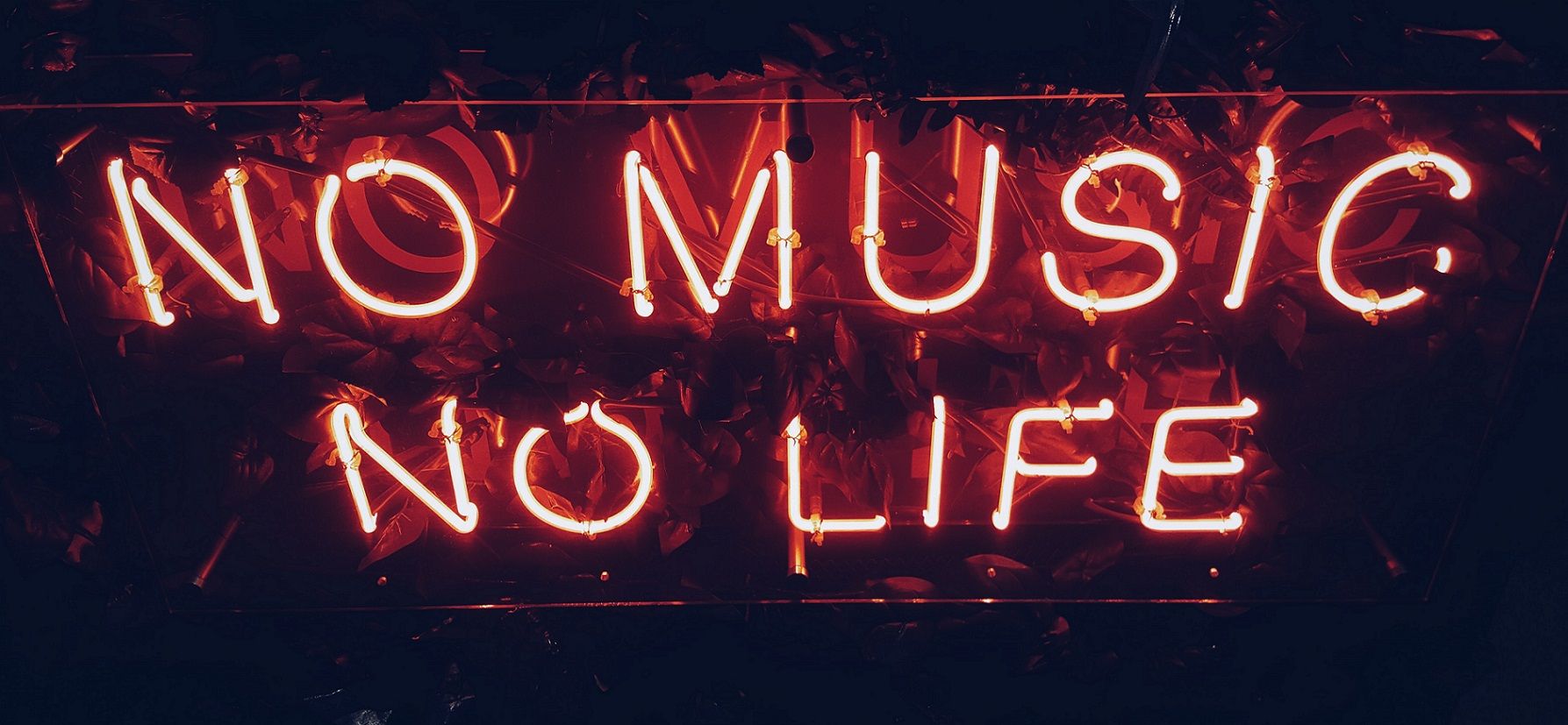 neon sign that reads "No Music, No Life"