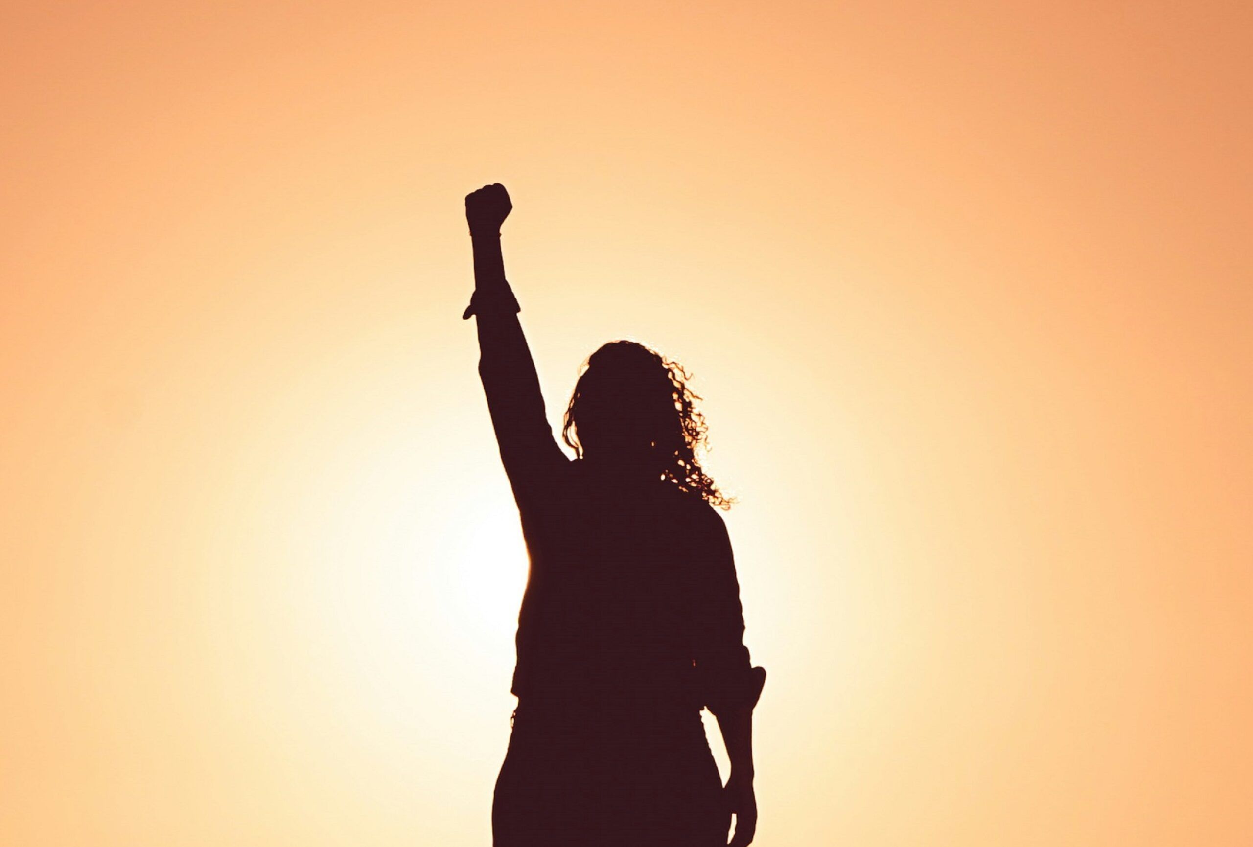 silhouette of person with fist in the air -- success