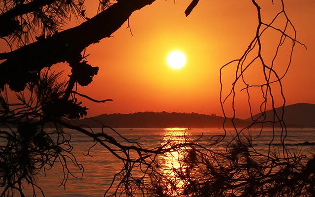 A sunset over water viewed through the silhouette of bare tree branches.