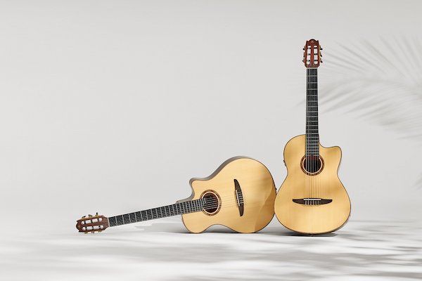 Two acoustic wooden guitars on grey backdrop with leafy shadows.