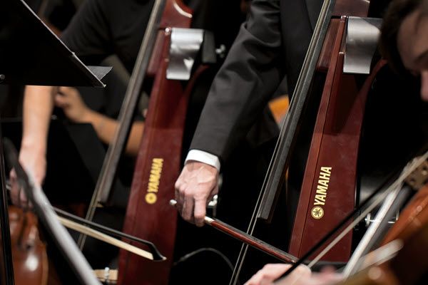 Closeup of the bowing hands of several musicians playing electric upright basses.