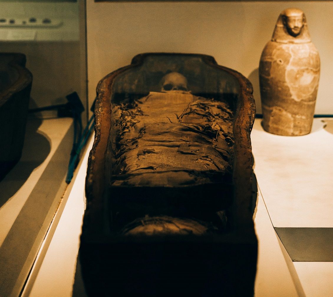 mummy in museum