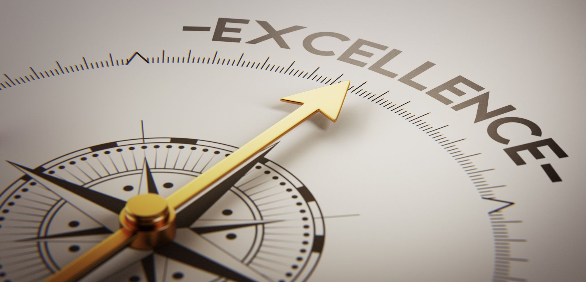 compass pointing to the word Excellence