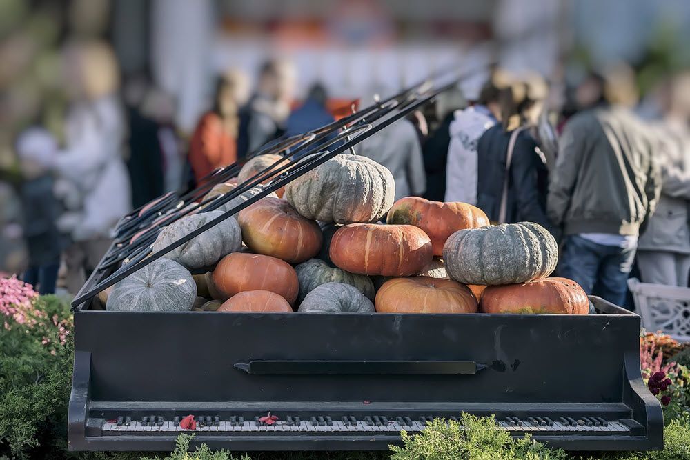 Old piano whose body has been used to contain a pile of pumpkins. It is an outdoor scene with lots of people in the background at what appears to be a fall festival.