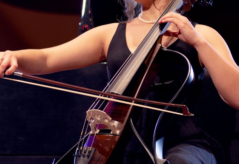 Yamaha SVC300F Silent Cello