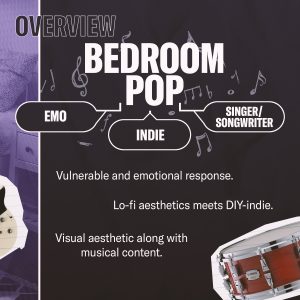 Chart describing the aesthetic of Bedroom Pop.