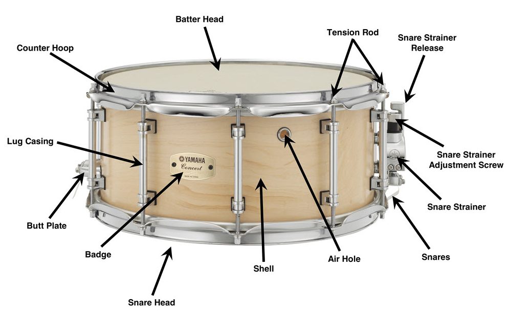 Snare drum image with annotations and arrows pointing out the specific parts/features.