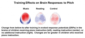 Chart showing training effect on brain responses to pitch