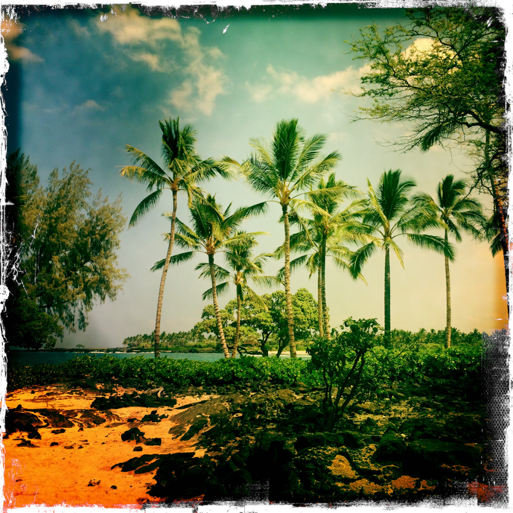 Photo of a postcard of a tropical beach.