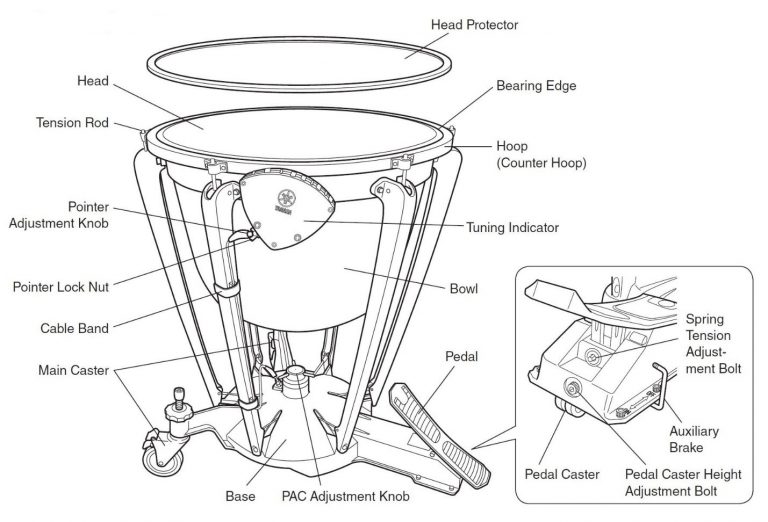 Timpani Tuesdays Anatomy of Timpani
