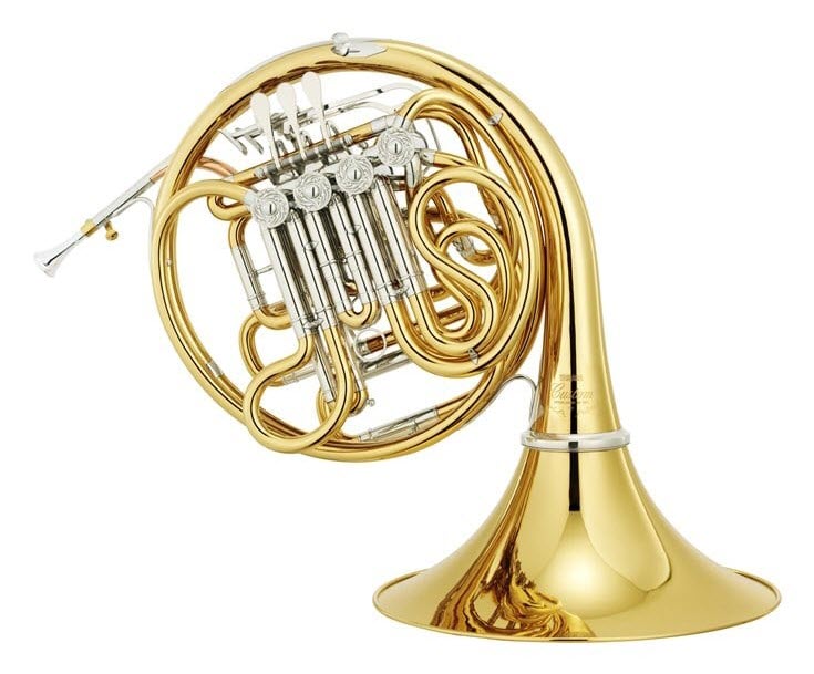 A French horn.