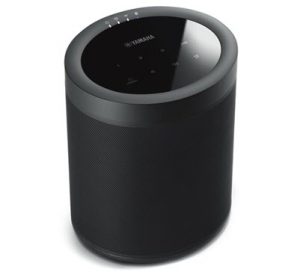 Small vertical oval shaped audio speaker. The touchscreen controls on top are displayed.