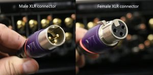 Close-up photo of male and female XLR connectors.