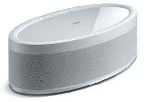 White, oval-shapped speaker.