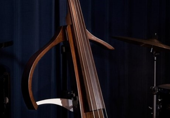 View of portion of an open bodied electric upright bass.