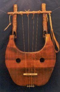 five stringed instrument