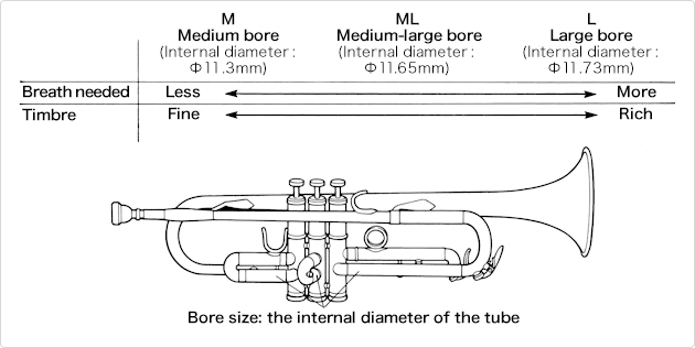 Diagram of crosscut of a trumpet.