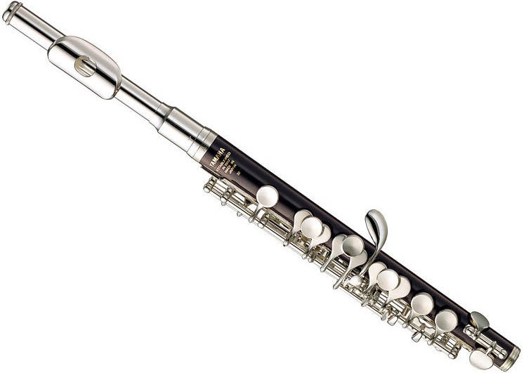 Black and silver plastic flutelike instrument.