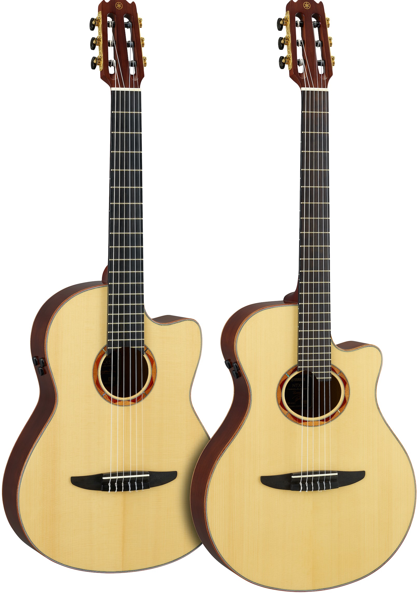 Two acoustic guitar.