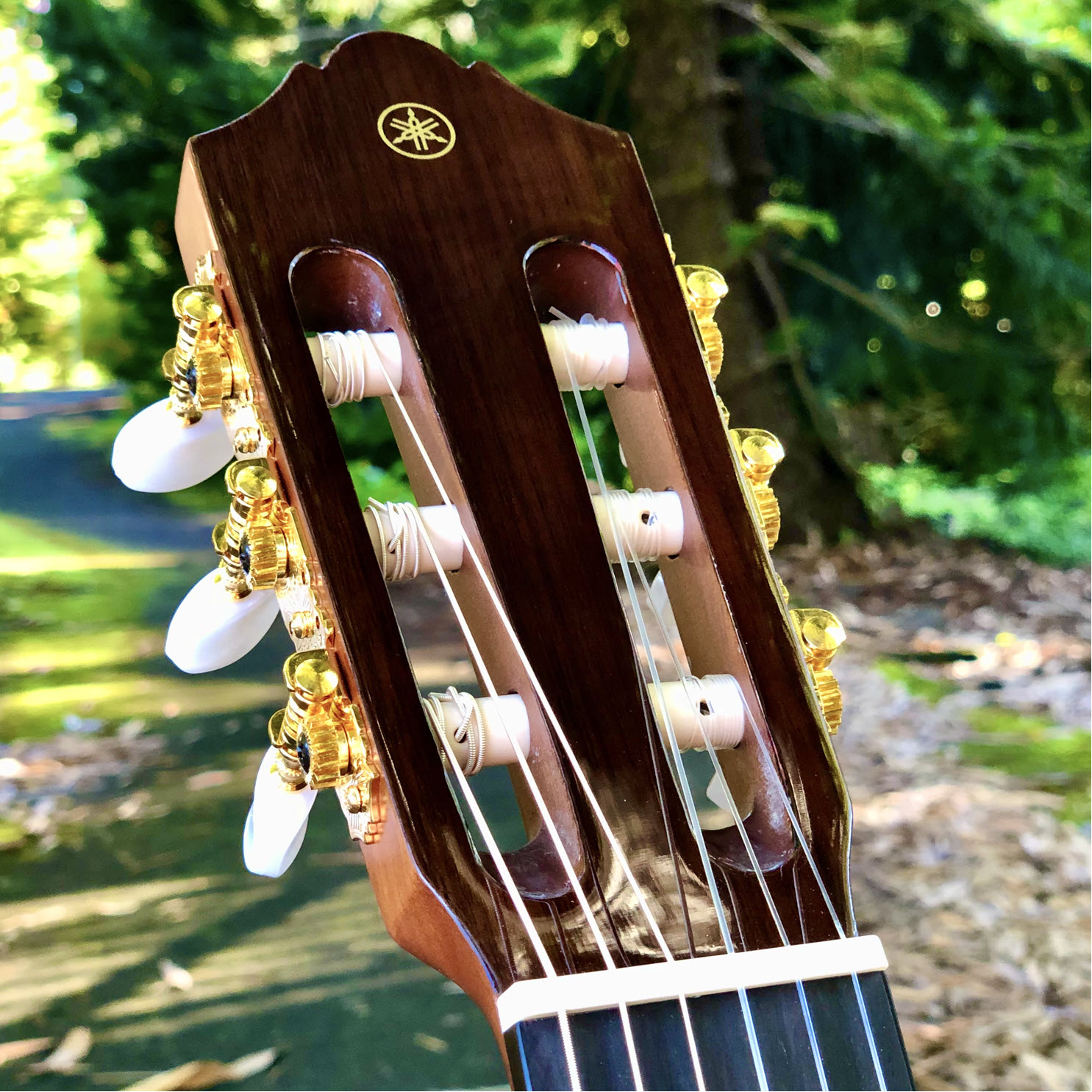 Steel Strings vs Nylon Strings  Acoustic Guitars for Beginners