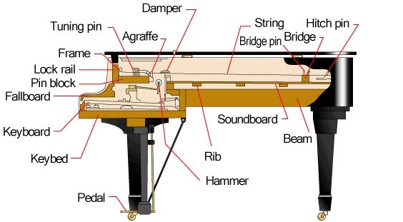 Crosscut diagram of an acoustic piano.