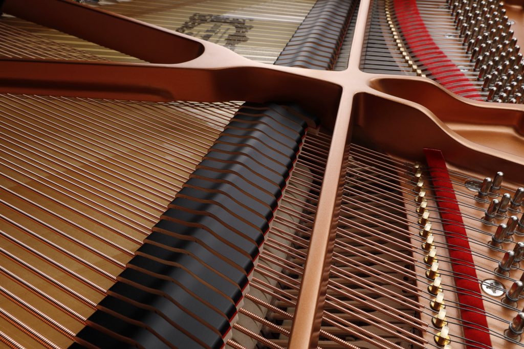 Closeup view of dampers on a piano.