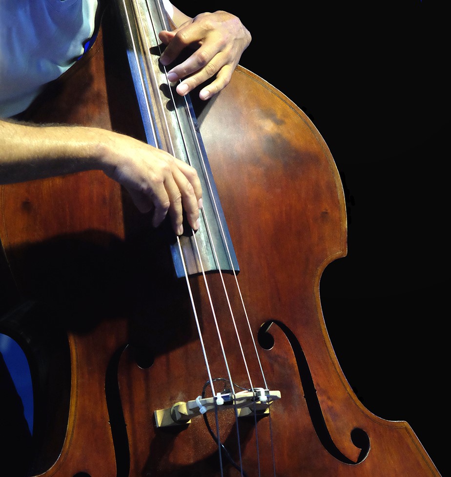 Double bass. The musician playing contrabass musical instrument on black background.