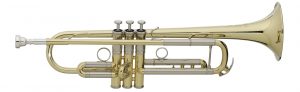 Golden trumpet seen in profile.