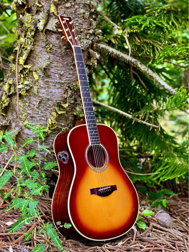 Hybrid acoustic/electronic guitar leaning against the trunk of a small tree.