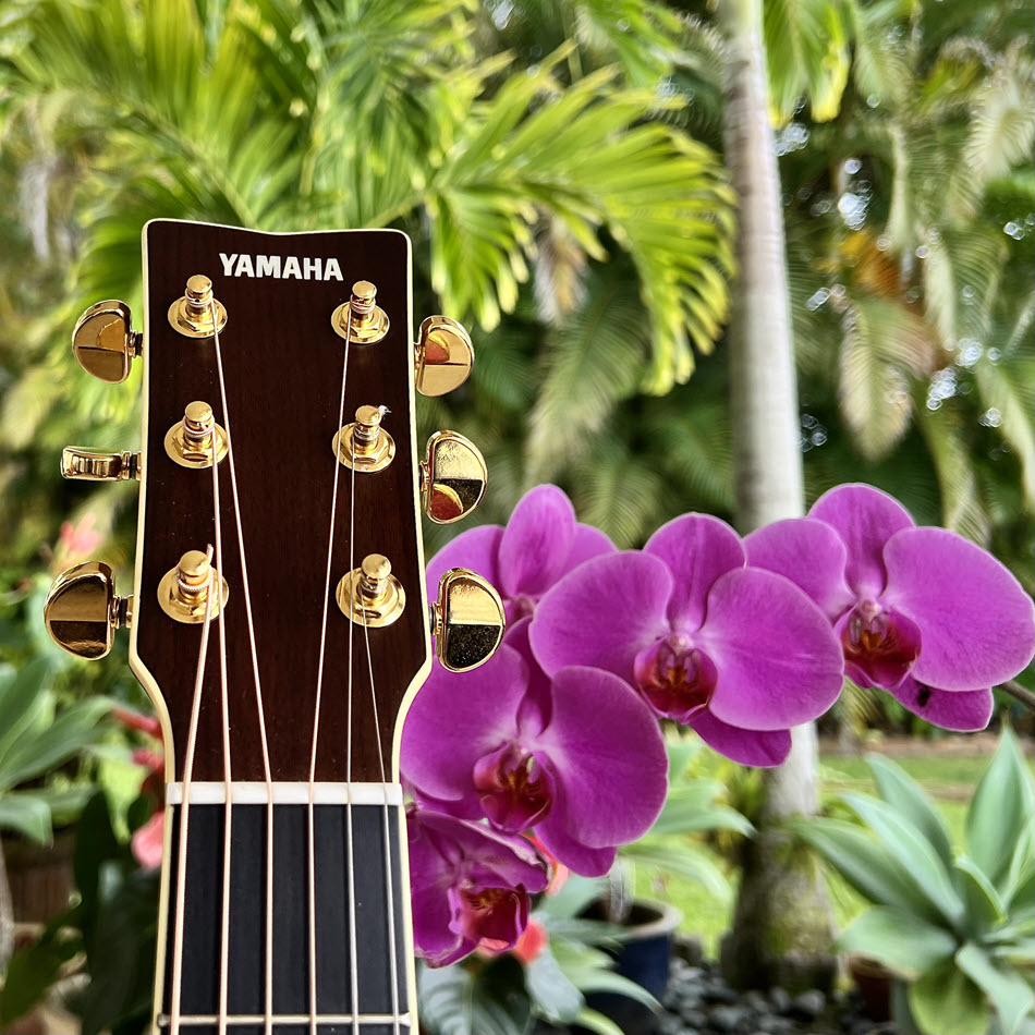 The neck of a Yamaha guitar with an orchid and greenery behind it.