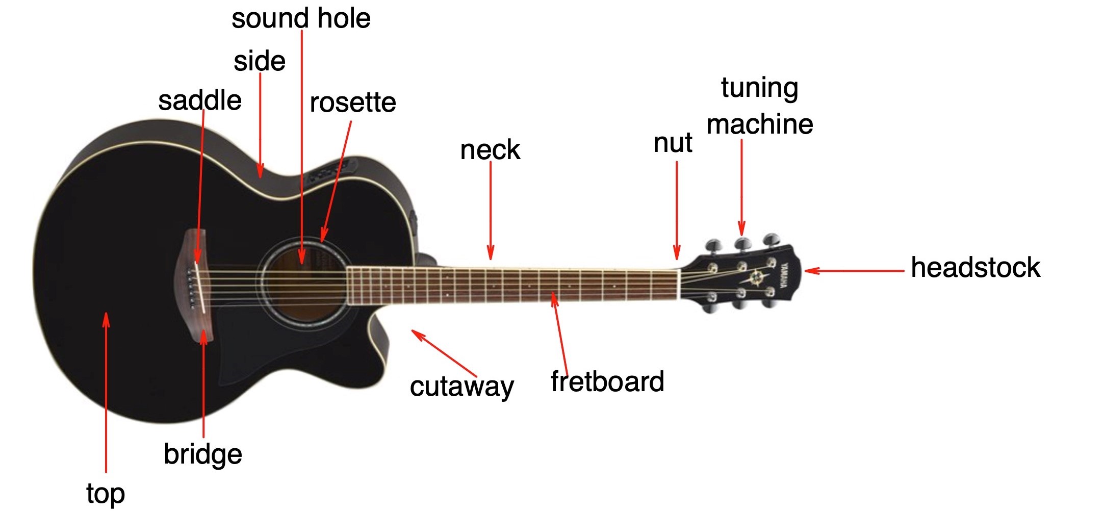 An acoustic guitar with its various elements indicated.
