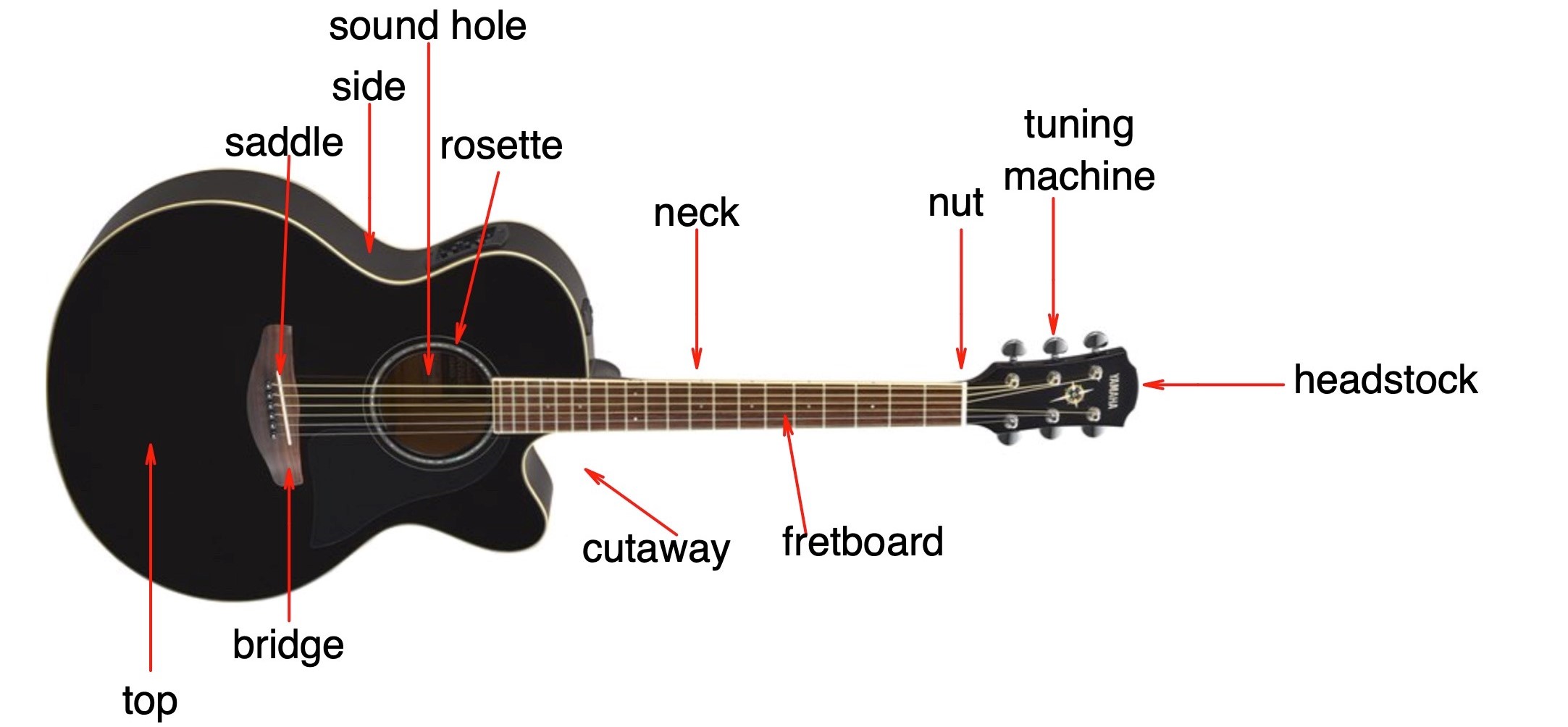 How To Choose Your First Guitar