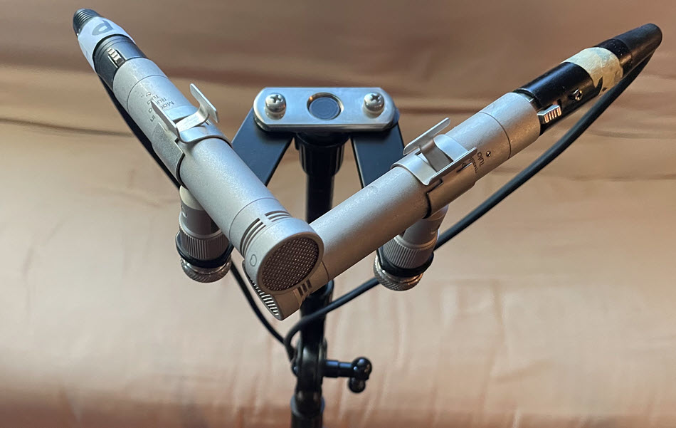 Pair of microphones on a stand.