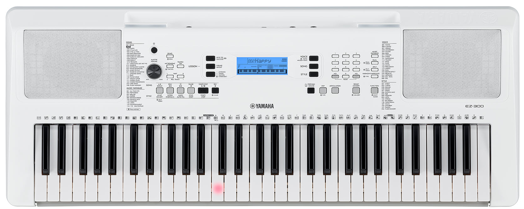 View of electronic keyboard.