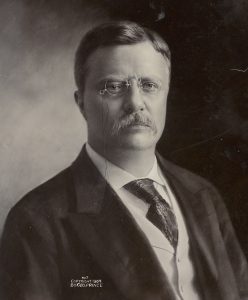 Library of Congress portrait of Theodore Roosevelt