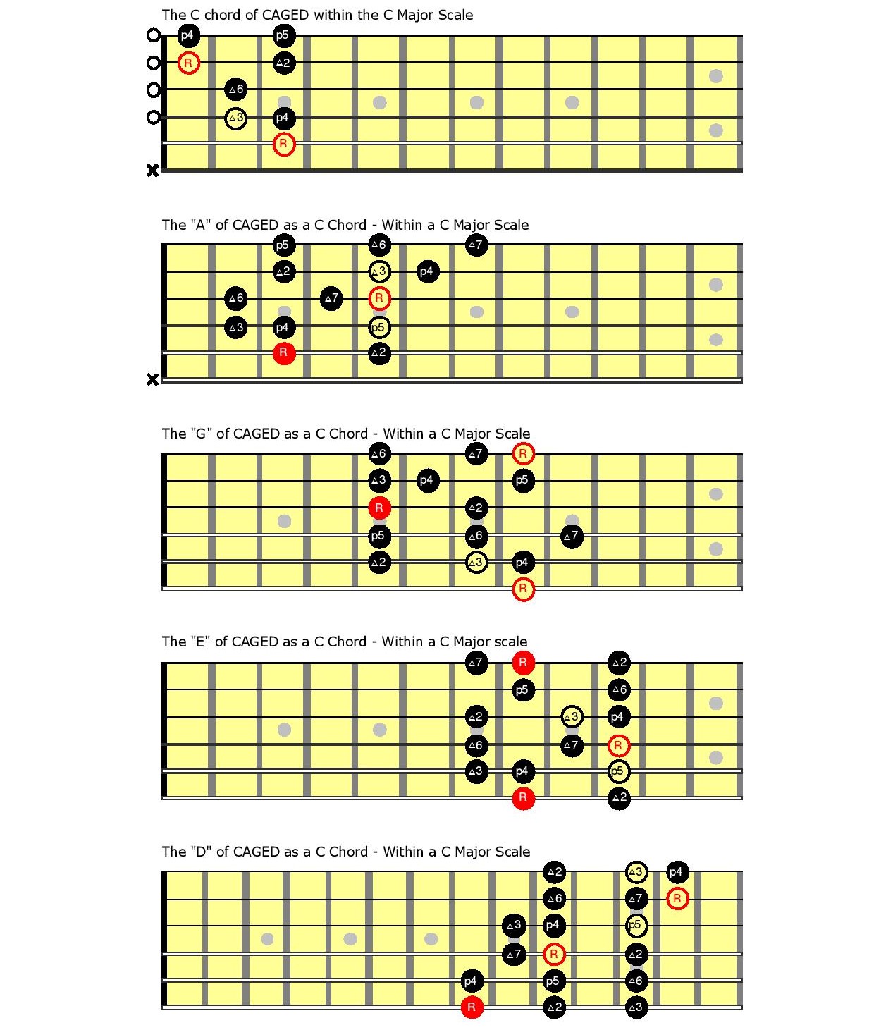 Passion: Roar song lessons with Chords, Tabs & Charts