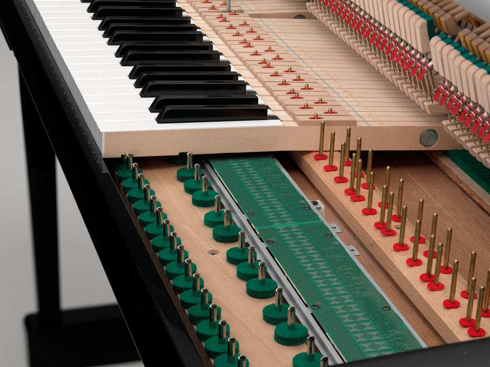 Closeup of what is under a piano's keyboard.