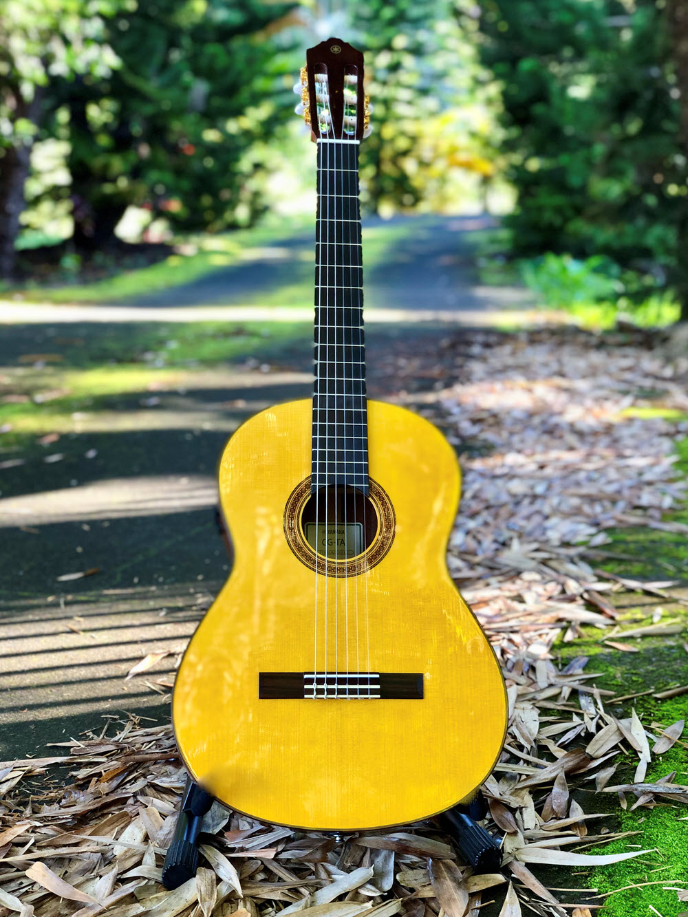 Acoustic guitar leaning against a park bench.