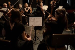 string ensemble during performance