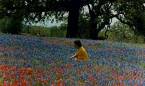 Lady Bird Johnson in a field of wildflowers in Texas