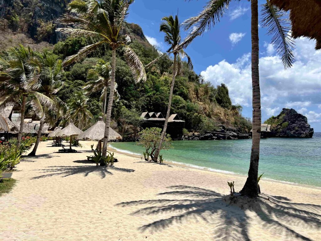 An island beach with sand and palm trees.