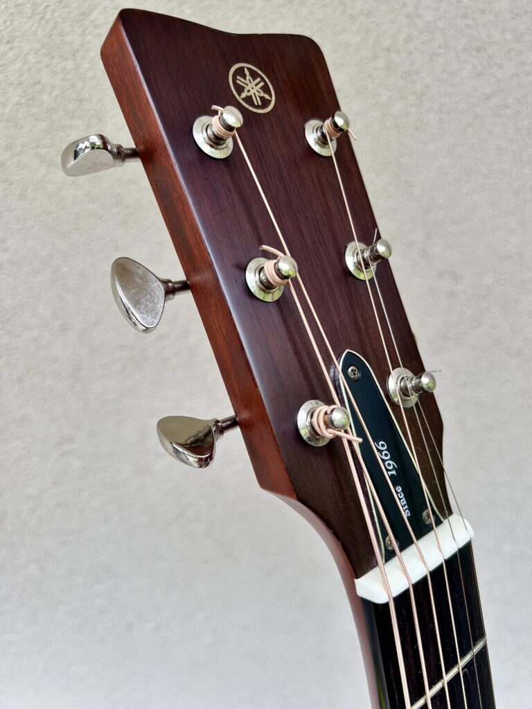 A guitar headstock showing the truss rod cover plate.