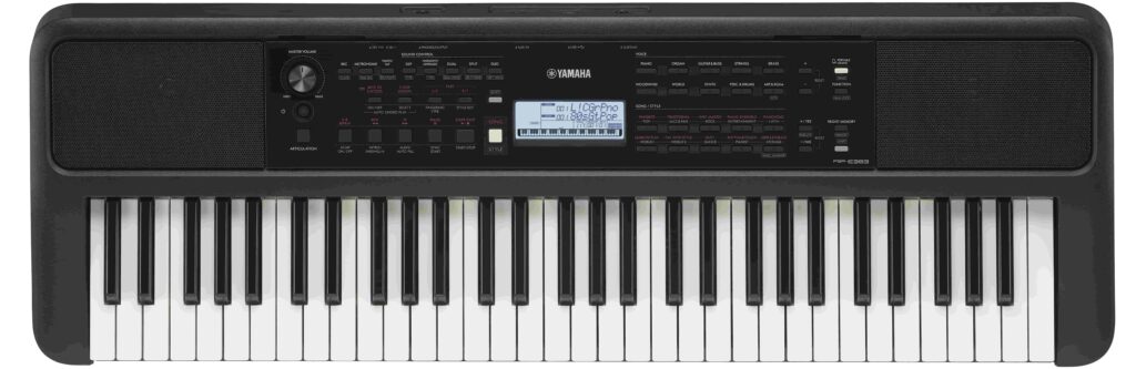 An electronic keyboard musical instrument.