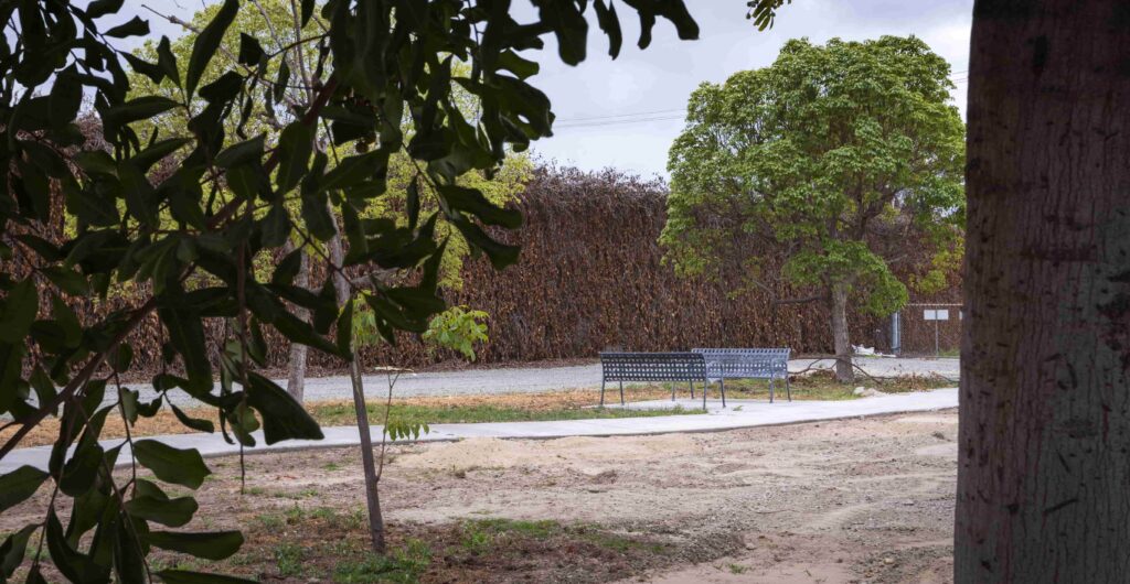 Two park benches in a grove of trees.