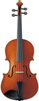 A viola.